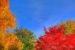 October Skies